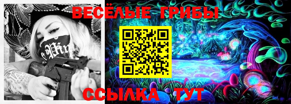 Галлюциногенные грибы Psilocybine cubensis  Вход с VPN  Берёзовский 