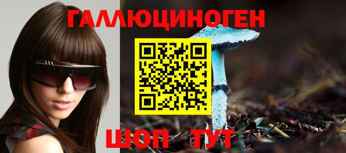 Псилоцибиновые грибы Psilocybe Берёзовский