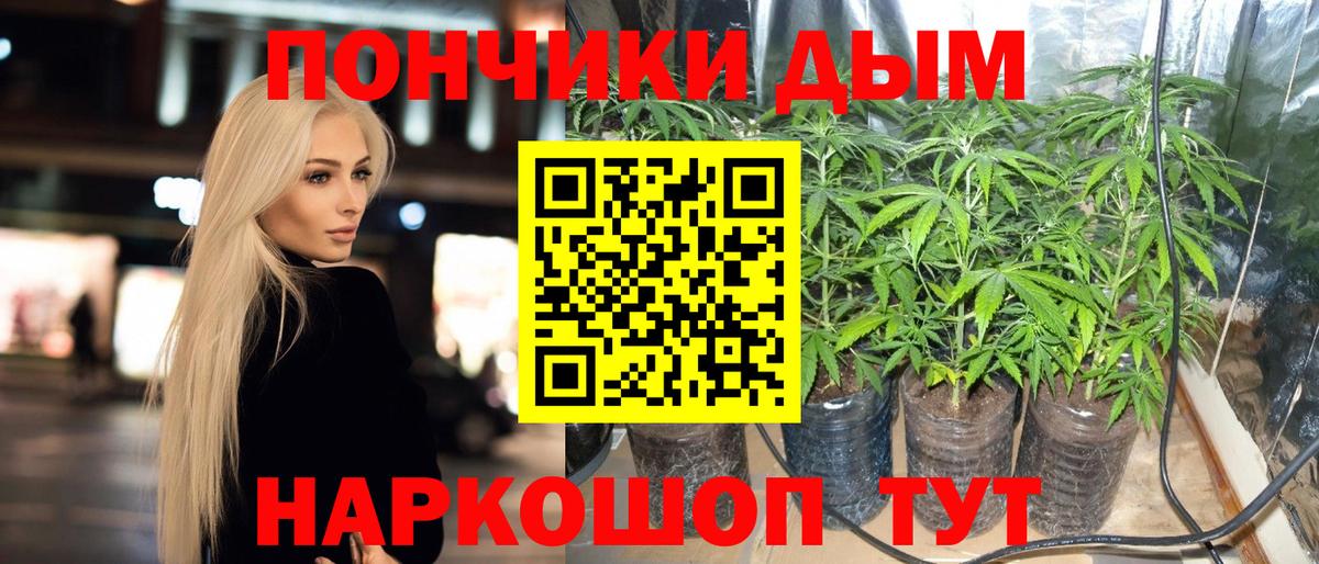 Каннабис Amnesia  Бошки Шишки тримм  Вход с VPN  Берёзовский  Шишки марихуана SATIVA & INDICA  Конопля сатива 